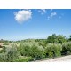 Properties for Sale_Restored Farmhouses _Farmhouse for sale in Le Marche - Le Aquile in Le Marche_5